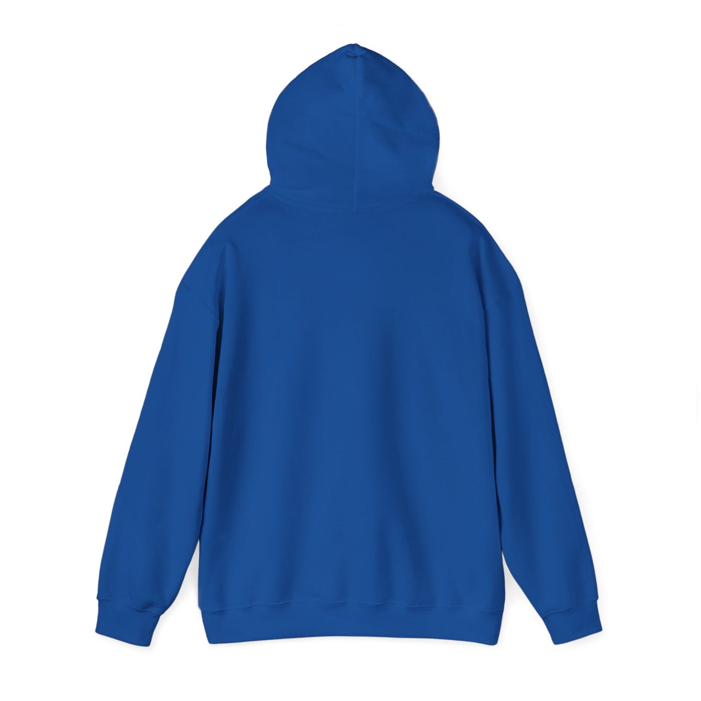 Inspirational Hooded Sweatshirt: God's Got This, Cozy Gift, Faith Apparel, Unisex Casual, Everyday Comfort, Uplifting Wear