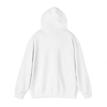 Inspirational Hooded Sweatshirt: God's Got This, Cozy Gift, Faith Apparel, Unisex Casual, Everyday Comfort, Uplifting Wear