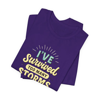 Survived Storms Tee: Motivational Unisex Jersey Tee, Inspirational Gift, Casual Wear, Self-Care Shirt, Empowerment Apparel