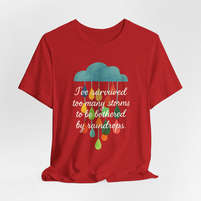 Survived Storms Tee: Uplifting Unisex T-Shirt, Inspirational Gift, Casual Wear, Everyday Comfort, Optimistic Quote Shirt