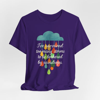 Survived Storms Tee: Uplifting Unisex T-Shirt, Inspirational Gift, Casual Wear, Everyday Comfort, Optimistic Quote Shirt