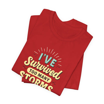 Survived Storms Tee: Motivational Unisex Jersey Tee, Inspirational Gift, Casual Wear, Self-Care Shirt, Empowerment Apparel