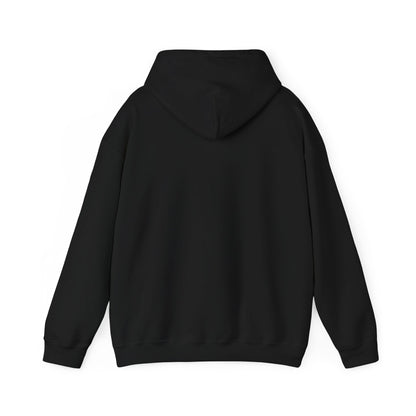 Inspirational Hooded Sweatshirt: God's Got This, Cozy Gift, Faith Apparel, Unisex Casual, Everyday Comfort, Uplifting Wear